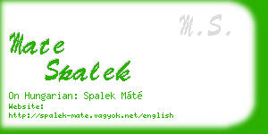 mate spalek business card